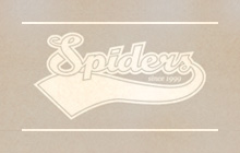 Spiders l'Association. Basket-ball, jeux-vid&eacute;o et barbecue.