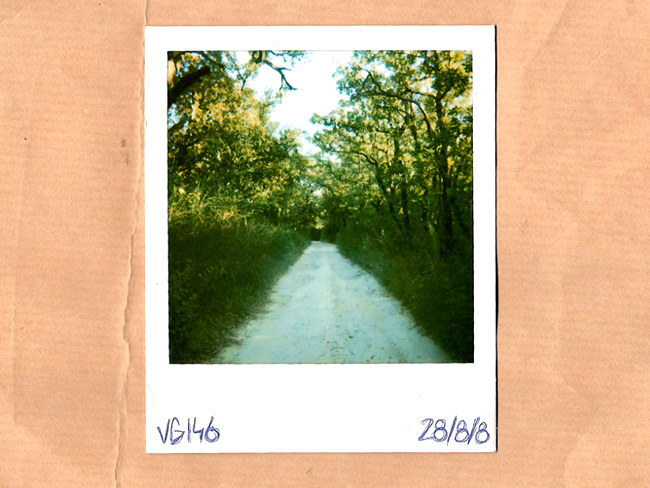 polaroid graphiste freelance
