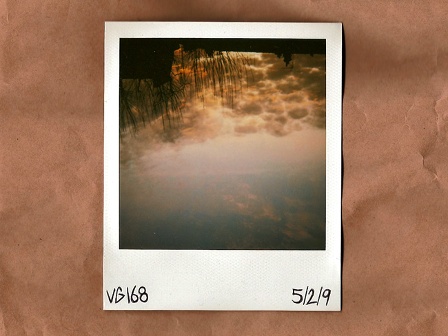 polaroid