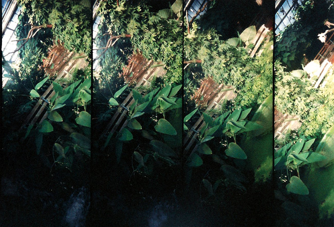 lomo supersampler
