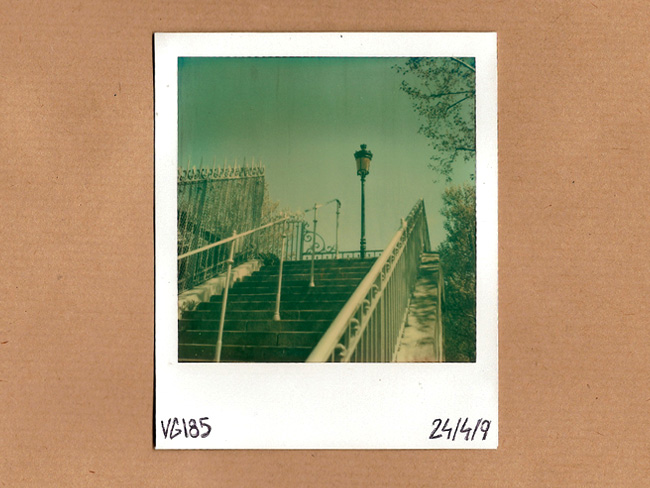 polaroid