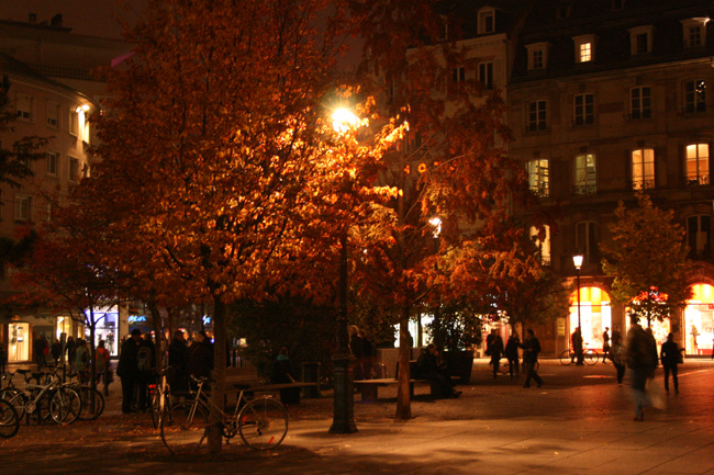 photo strasbourg by night