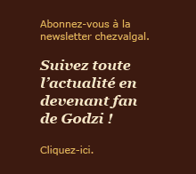 Pub fan page de Godzi.