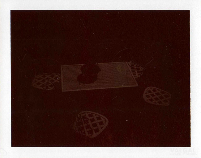 polaroid instant 30 et chocolate film
