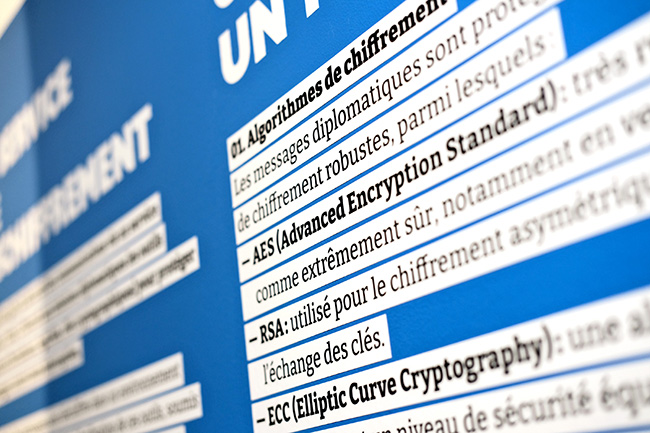 Exposition temporaire - Graphiste pour scénographie