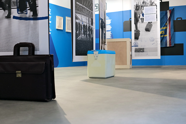 Exposition temporaire - Graphiste pour scénographie